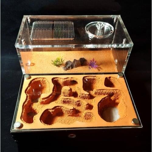 Acrylic Flat Ant Farm Large Plaster Ant Nest Big Gypsum Pet Anthill Insect Castle Workshop Villa Ant House with Feeding Area