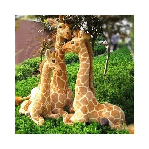 About 70x48cm simulation lying giraffe plush toy doll gift w5458