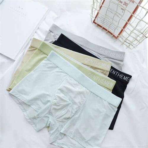 2020 Sexy Mesh ice silk fashion boxers men cozy Underwear adult plus size underwear boxers men summer New N1999