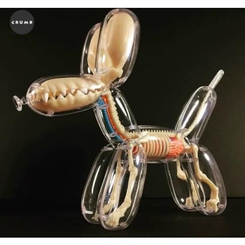Popular balloon dog bone anatomy model 4D creative furnishing accessories