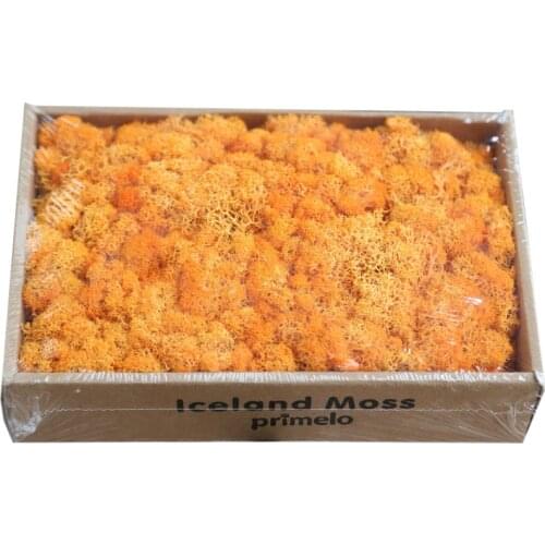 Eternal Dried Moss Grass Artificial Everlasting Moss Garden Home Decor DIY Preserved Flower Material Micro Landscape Accessories