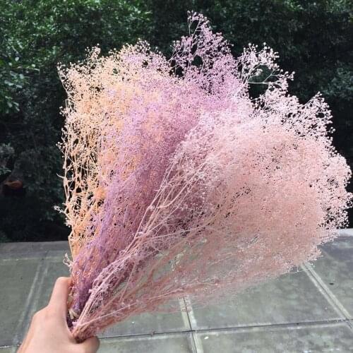 40cm,40g/Bouquet,NatureFresh Preserved Babysbreath,Eternelle Gypsophila Flower for Wedding Party Home Decoration Accessories