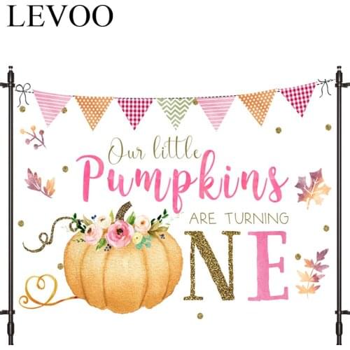 LEVOO New Photo Backdrop Pumpkin Prince Bunting Baptism First Background Nature Photocall Photo Studio Shoot Prop