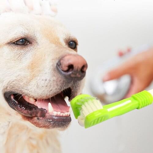 Pet Dog Toothbrush Multi-angle Cleaning Tooth Bad Breath Tartar Teeth Care Tool Brush for Dog Cat Protection Health Product