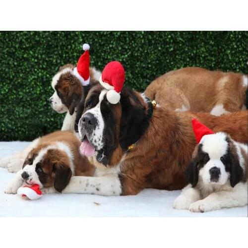 5D DIY Diamond Painting Christmas hat French bulldogs Full Square Rhinestone Drill Embroidery Mosaic Home Decor wholesale C352