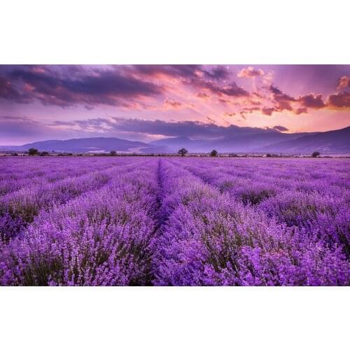 JMINE Div 5D Lavender field sunset Mountain Full Diamond Painting cross stitch kits art Floral 3D paint by diamonds