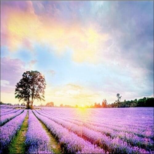 Wellyu Custom large - scale murals fantasy scenery Provence lavender Caiyun TV backdrop non - woven wallpaper papel de parede