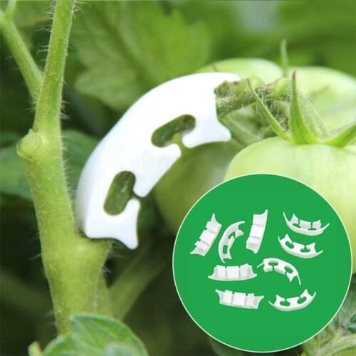 50pcs Vegetables Tomato Fixing Clips to Prevent Bending Support Clamp Fruit Flower Green Plant Seedling Reinforcement Tool White
