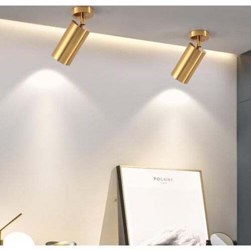 Golden Led Spotlight Nordic Luxury Ceiling Light Fixture Living Room Coffee shop Bar Surface Mounted Downlight