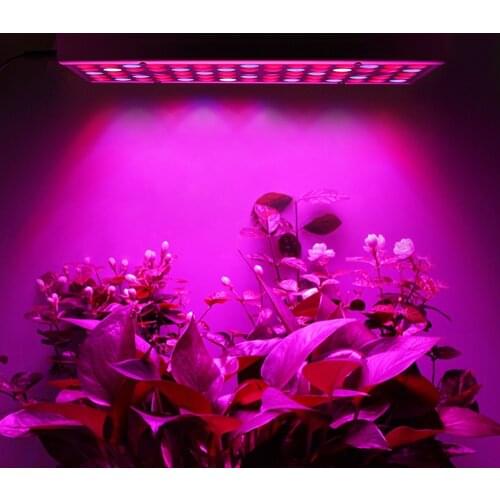 YWXLIGHT Plant Lamps