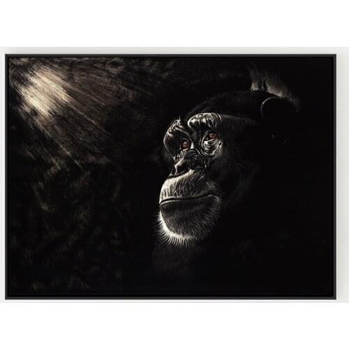 Monkeys Sunshine Pictures Living Room Wall Art Decor Animal No Frame Poster Oil Painting Decoration