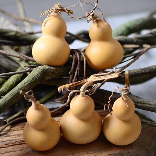 10pcs/lot,Nature Dried bottle gourd,Real Dried eternelle plant DIY Wedding Party christmas Garden Home Decoration accessories