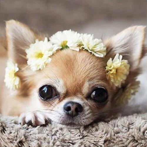 5D DIY Full Round/Square Diamond Painting Dog Decoration Home Diamond Embroidery Mosaic Animal Flower Rhinestone Gift