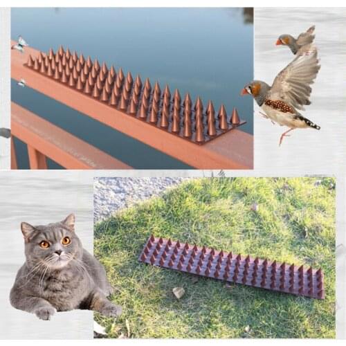 New Hot Anti Bird Cat Thief Thorn Intruder Repellent Practical Deterrent Anti-Theft Fencing Garden Fence Wall Spike Dropshipping