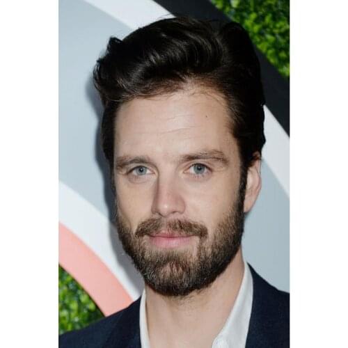 Best Nice Sebastian Stan Poster Silk Fabric Wall Art Poster Print Painting Nature Decoration Pictures Modern Home Decor Poster