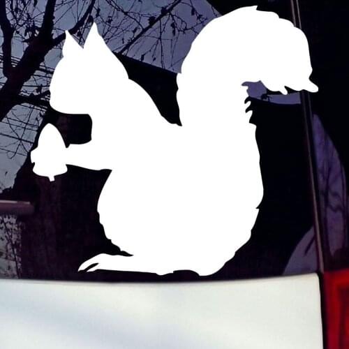 Animal Stickers Squirrel Holding A Pine Cone Decal Vinyl Window Sticker Art Decals 10.2x9.6cm