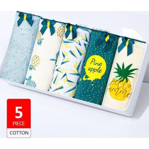 5Pcs /lot Womens Cotton Panties Sexy Seamless Women Underwear Breathable Panty Briefs Girls Lingerie Cute Soft Female Intimates