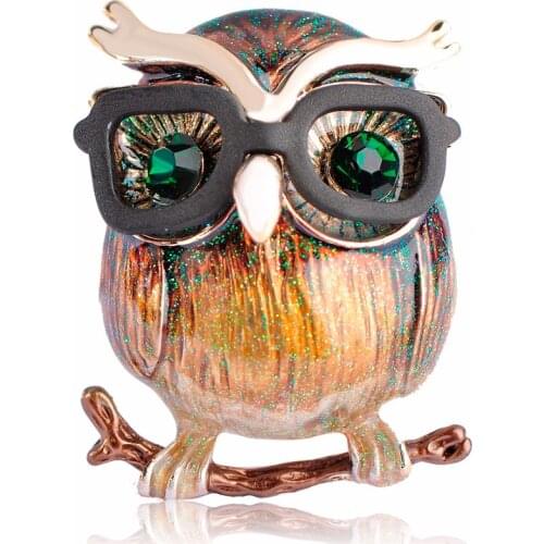 Kawaii Owl With Glasses Shape Brooch Bright Enamel Esmalte Bird Animal Clothing Accessories Women Brooches Hijab Pins Clips Gift