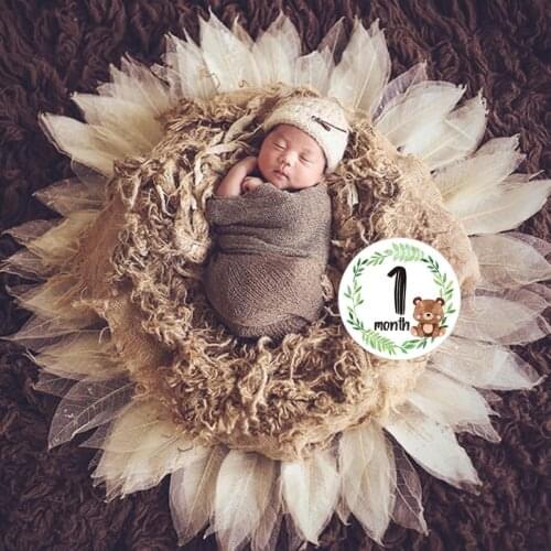 HUYU 12 Pcs/Set Newborn Milestone Memorial Month Stickers Floral Baby Monthly Stickers Photography Commemorative Card