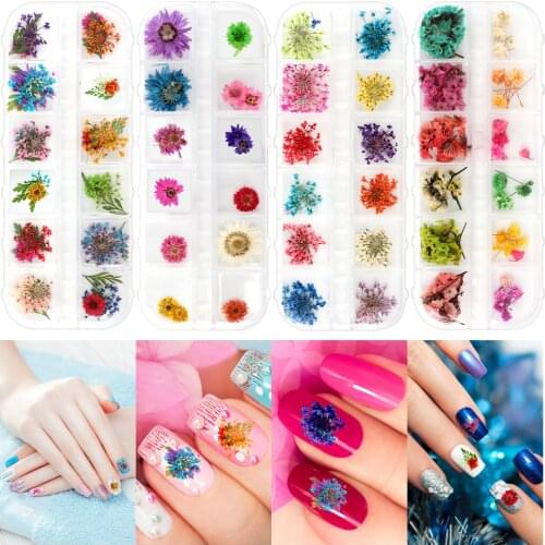 4 Box 120Pcs Dried Flower Nail Decoration Natural Floral Sticker Mixed Dry Flower DIY Nail Art Decals Nails Decoration Painting