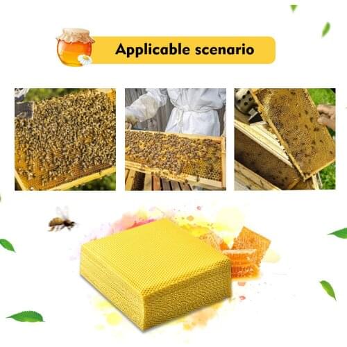 10/20/30pcs Honeycomb Beeswax Foundation Beehive Wax Frames Base Sheets Bee Comb Honey Frame Beeswax Beekeeper Equipment