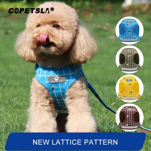 Copetsla New Nylon Mesh Kitten Puppy Reflective Dogs Harness And Leash Set Dogs Vest Harness Leads Pet Clothes For Small Dogs
