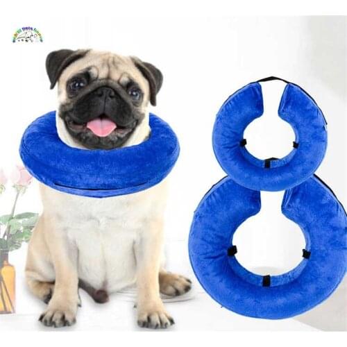 Warm pets home Collars