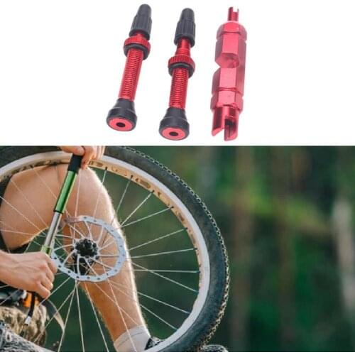 Easy Installation Mini Anti-rust Cycling Tubeless Valve Stem for Mountain Bike