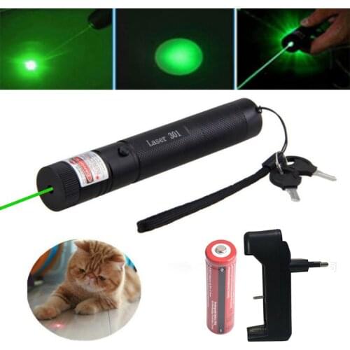 High power laser equipment 301 laser sight green dot 18650 battery and charger combination funny cat toy astronomy pointer pen