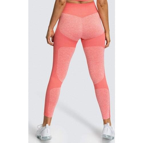 Fitness High Waist Legging Tummy Control Seamless Energy Gymwear Workout Running Activewear Yoga Pant Hip Lifting Trainning Wear