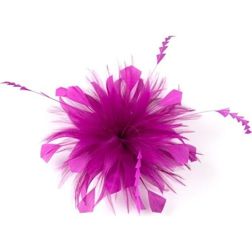 Feathers Hair Pins Headdress Wedding Party Bridal Tiara Fascinators Clip Ladies Accessory Women Head Band Plumes