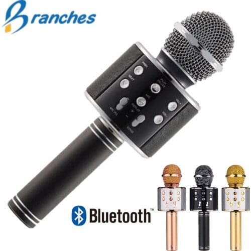 Branches Karaoke Players