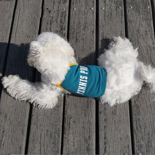 2021 Dog Vest Summer Dog Camisole For Small Medium Dog Costume Letter Printing Pet Shirt Puppy Outfit Soft Dogs Clothing Fashion
