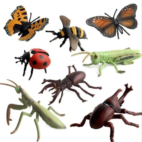 Beetle Spider Simulation Animals Model Insect Stag Bee Ladybird Mantis Butterfly Figurine Decoration Figure Toys Gift For Kids