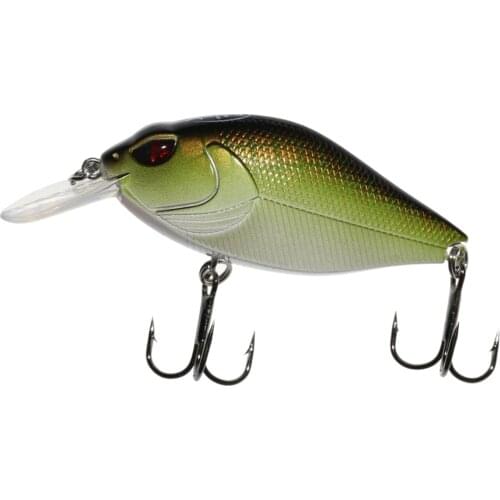 Shallow Diving Crankbait 2.75", 1/2 Oz Rattling Square Bill Crankbaits Hard Bait Fishing Lure Fall Bass Fishing