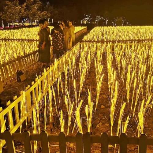 COOLFIRE LED Holiday Light Bulbs