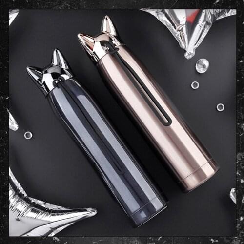 Outdoor Portable Camping Mug Gift Couple Cup 320ml Cartoon Cup Lightning Fox Vacuum Flask Thermos Insulated Flasks