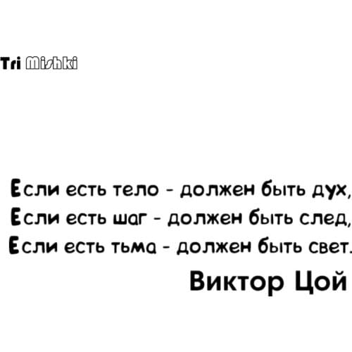 Tri Mishki HZX047 20.6*60cm 1-5 pieces car sticker victor coys words auto car stickers