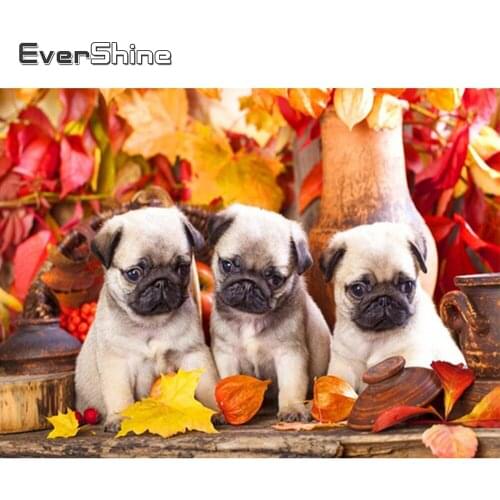 Evershine 5D DIY Diamond Painting Dog Full Square Diamond Embroidery Autumn Animal Handmade Gifts Mosaic Art Home Decorations
