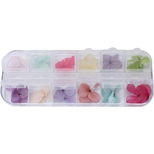 Pressed Dried Flower Nail Decoration Dry Plants For Epoxy Resin Nail Sticker Jewelry Making Craft DIY Nail Accessories