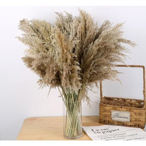 10/15PCs Natural Pampas Grass Real Dried Flowers Bouquet 22 Inches Wedding Decorate Reed For Party Home DIY Decor Phragmites
