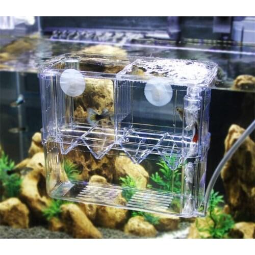 Breeding hatching isolation box delivery room for tropical fish juvenile betta