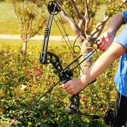 Compound Pulley Bow And Arrow Set 30-70 Pounds Adjustable Bow And Arrow Hunting Outdoor Sports Hunting Shooting Set Turn