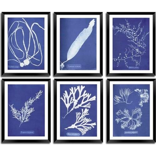 Cyanotype Prints Vintage Blue Algae Botanical Art Minimalist Retro Plant Canvas Painting Wall Art Pictures for Living Room Decor
