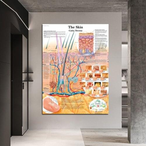 Anatomy Dissection Skin Anatomical Chart Posters Muscle System Canvas Print Wall Picture for Medical Education Office Home Decor