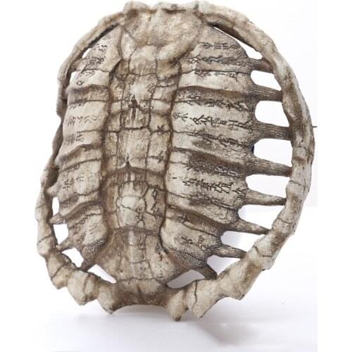 Retro Oracle Wall Resin Crafts Turtle Shell Decoration Home Bar Festival Decoration Wall Hanging