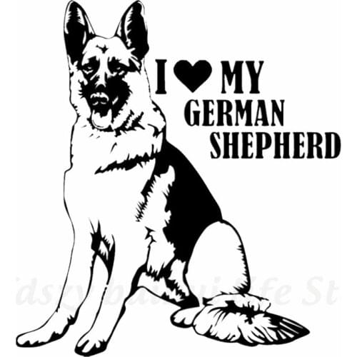 Fdszy Decorative Wall Stickers