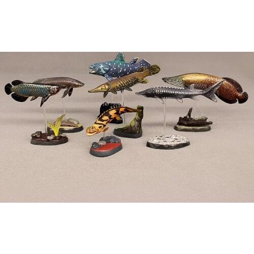 Pvc figure model toy Simulation ancient fish animal model coelacanth, Australian lungfish, alligator, finless eel 7pcs/set