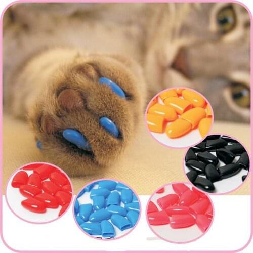 20pcs/pack Colorful Grooming Nail Claw Cap+Adhesive Glue Soft Pet Dog Cat Kitten Paw Claw Control Nail Caps Cover Protector