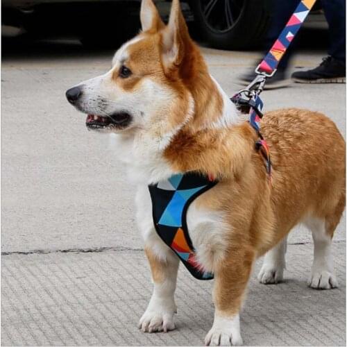 Explosion-proof Dog Chest Strap Traction Rope Comfortable Vest-Style Colorful Adjustable Size Dog Harness And Traction Belt Set